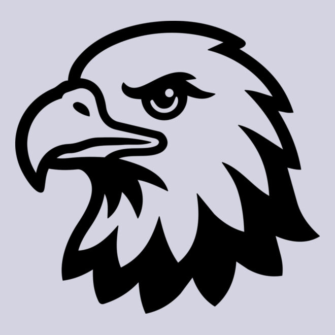 Bald Eagle Head Thumbnail