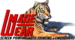 Image Wear