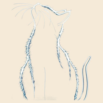 Cat Design