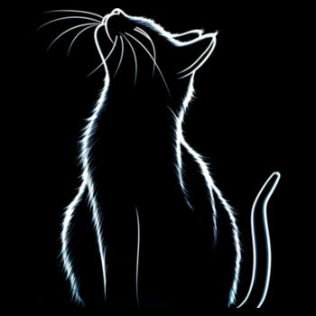 Cat Design