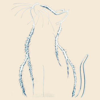 Cat Design