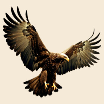 Eagle Design