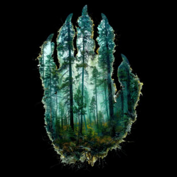 Forest Paw Design