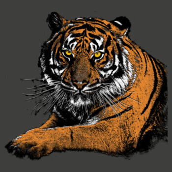 Tiger Design