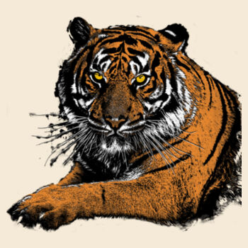Tiger Design