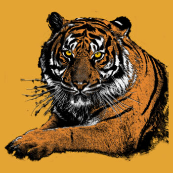 Tiger Design