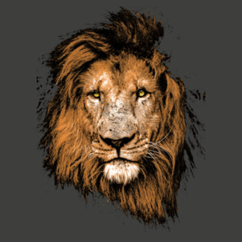 Lion Head Design